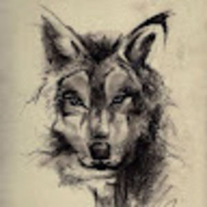 Meet your Posher, Eoghan